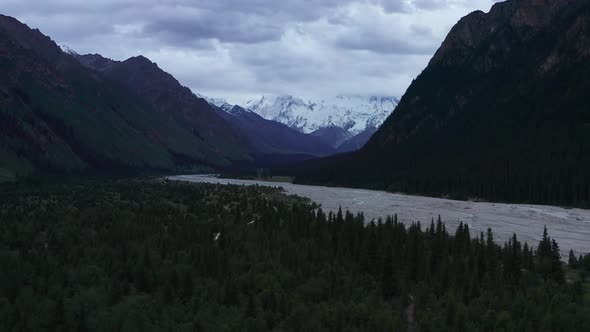 Mountains and trees in a cloudy day