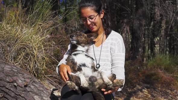 Woman giving kisses and hugging her cute brown and white dog on a tree landscape