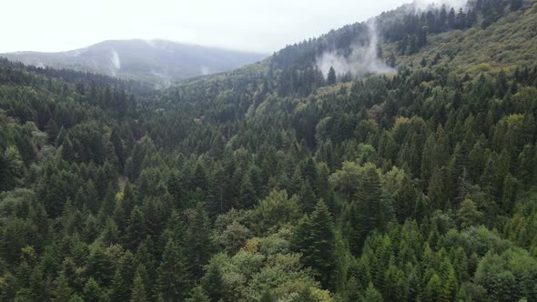 Nature of Ukraine: Carpathian Mountains Slow Motion. Aerial View