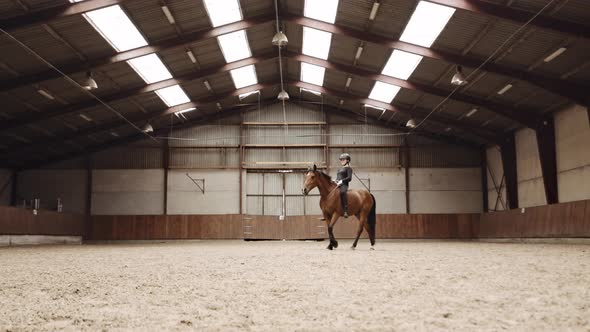 Woman Riding Horse Bareback Standing In Paddock