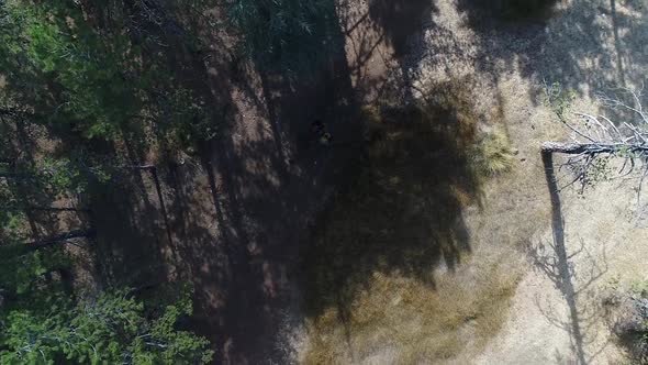 Aerial shot looking down on two backpackers hiking through a train at Troodos Mountain