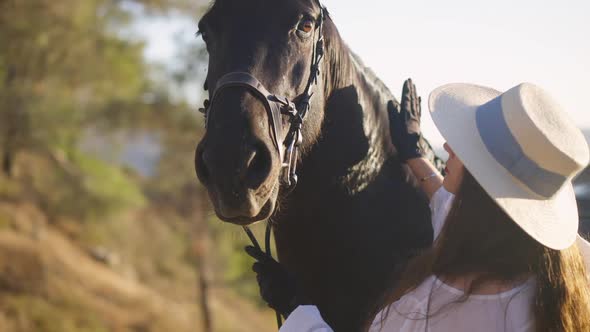 Beautiful Horse Looking at Camera As Woman Patting Neck in Slow Motion