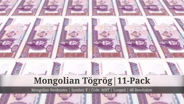 Mongolian Tögrög | Mongolia Currency - 11 Pack | 4K Resolution | Looped