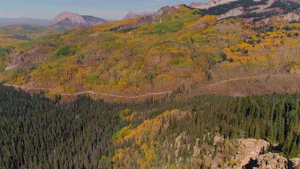 Aspens turning on Kebler Pass, Colorado