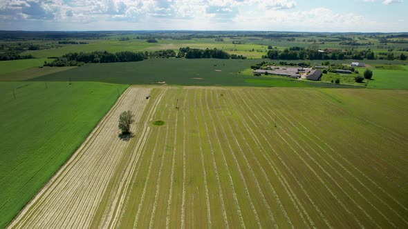 Aerial over beautiful, lush farmlands. Farm houses, small town.