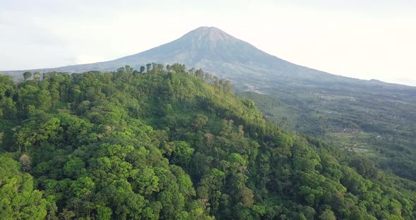 aerial drone view of hill and forest in tropical country Indonesia. variety of plants and vegetation