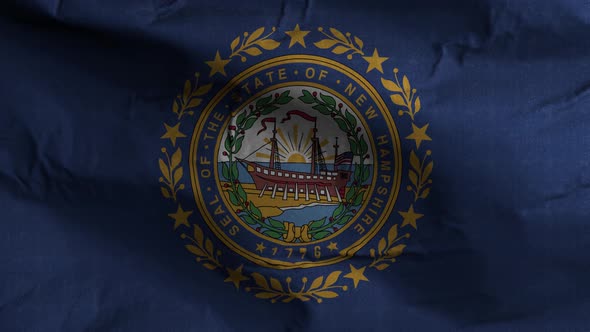 New Hampshire State Flag 4K