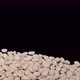 Flying Peanuts on a Black Background - VideoHive Item for Sale