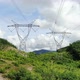 Tilt Up Aerial Shot Electricity Transmission Power Lines Pass Through The Forest. - VideoHive Item for Sale