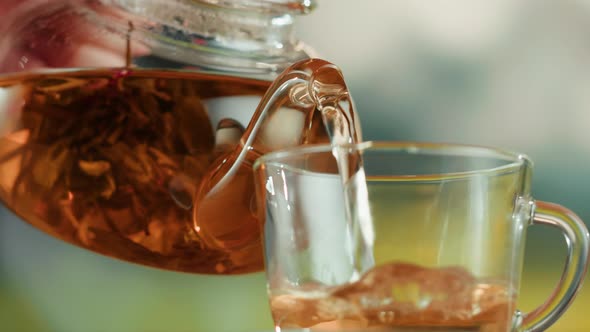 Pouring Fresh Tea in Glass Cup Closeup