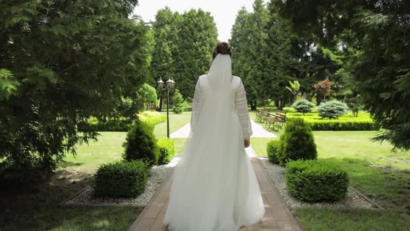 Bride, Young Woman Walking in the Green Summer Park. Rear View. She Goes To Her Beloved Husband