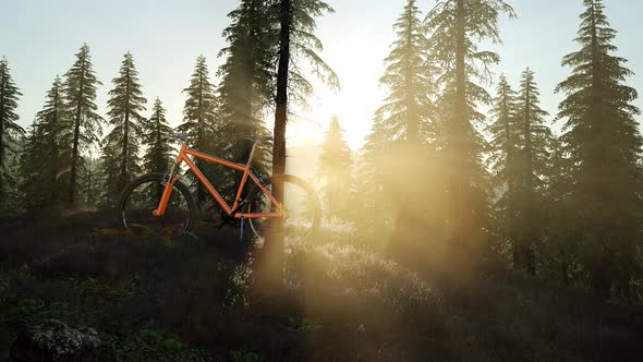 Bicycle in Mountain Forest