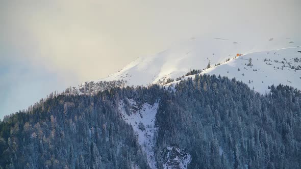 8K Treeless Hill at Upper Edge of Snowy Tree Line Forest Mountain