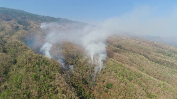 Forest Fire in the Mountains