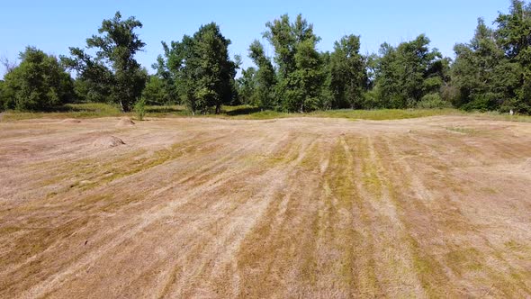 Mown grass in a meadow