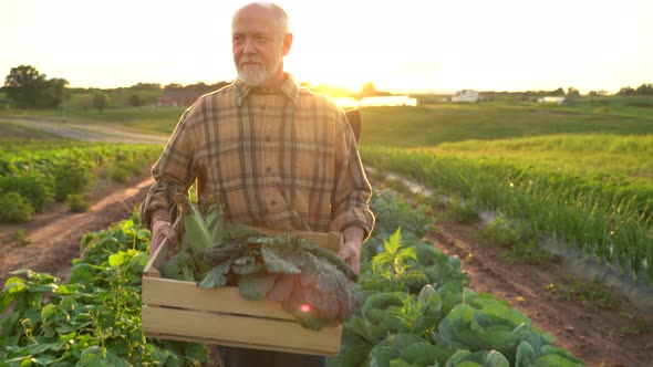 Close up portrait of senior caucasian good looking wise man farmer looking at the side, turning face