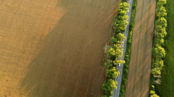 Aerial Drone View Flight Over Asphalt Road with Green Trees