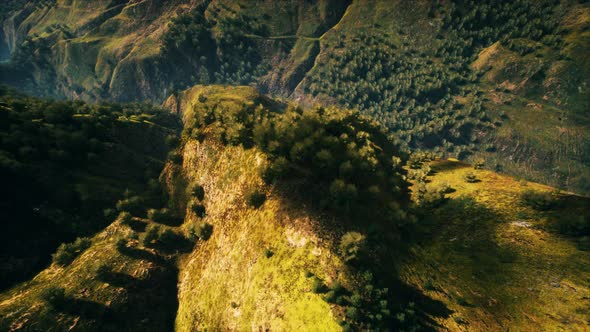 Tropical Forest in Morning View of Highland Malaysia