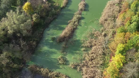 Aerial View Swampy Green Pond