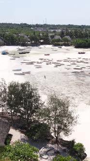 Vertical Video of Low Tide in the Ocean Near the Coast of Zanzibar Tanzania