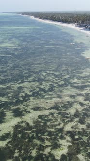 Vertical Video of the Ocean Near the Coast of Zanzibar Tanzania