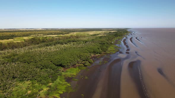 Sinking aerial shot of sand banks and woodland by La Plata River