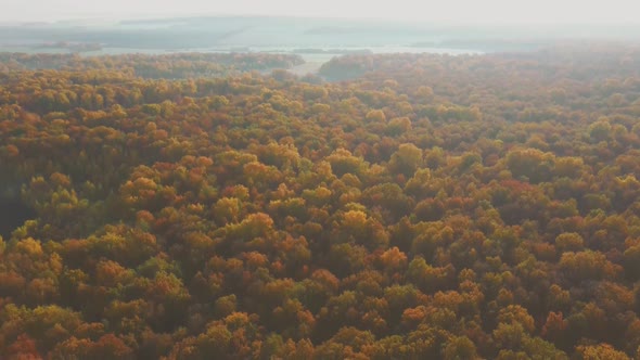 Aerial Video of Forest in Autumn at Sunset, Countryside