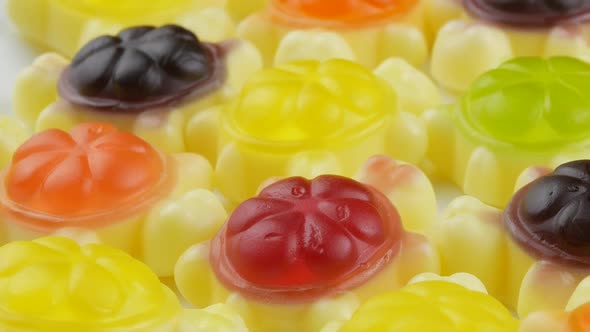 turtle shaped Tasty jelly candies