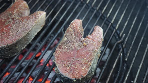 Seasoned salmon steaks on the grill over glowing coals - top down panning close up