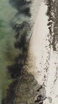 Vertical Video of the Ocean Near the Coast of Zanzibar Tanzania