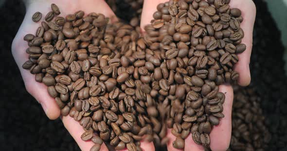 Roasted coffee beans in hands