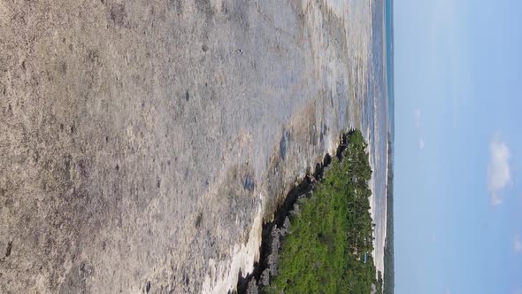 Vertical Video of Low Tide in the Ocean Near the Coast of Zanzibar Tanzania Aerial View