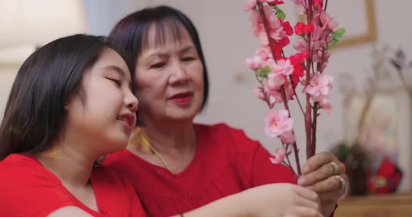 Asian Senior Woman And Niece Decorate House For Chinese New Year Celebrations With Flowers.