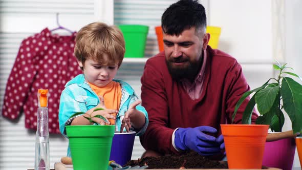 Father and Son Plant Flowers in Colored Pots