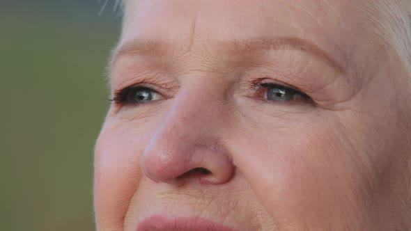 Closeup Headshot Charming Aged Woman with Beautiful Kind Grays Eyes