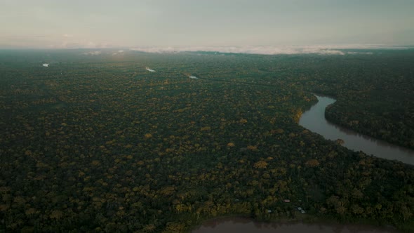 Aerial view of amazon river between deep rainforest and jungle in Peru