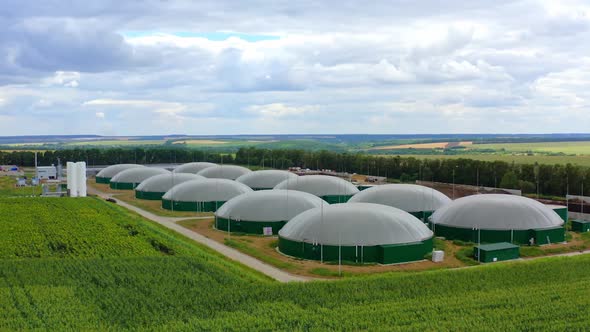 Biogas plant. Agricultural and greenhouse complex for the production of biogas.