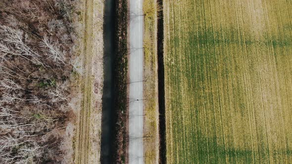 Agricultural field and road in Friuli Venezia Giulia, Marano, Italy