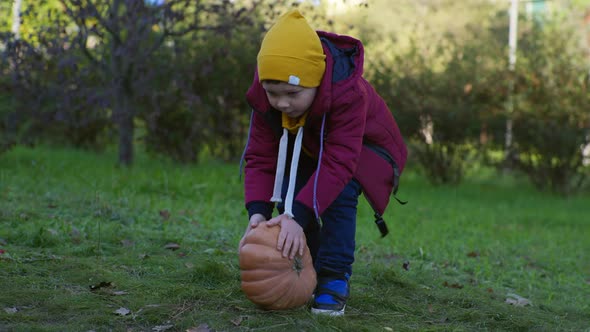 Carefree Childhood Little Boy Has Fun Playing To Park and Rolls Pumpkin on Lawn While Walking in