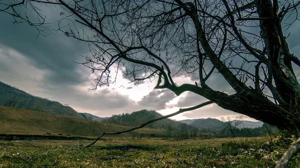 Time Lapse of Death Tree and Dry Yellow Grass at Mountian Landscape with Clouds and Sun Rays