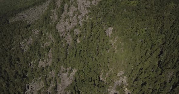 Aerial Drone Shot Flying Down Towards Trees On Mountain Side