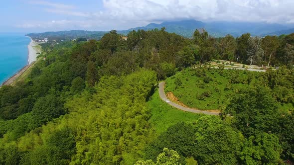 Greenery of Batumi Botanical Garden Next to Blue Waters of Black Sea, Holiday