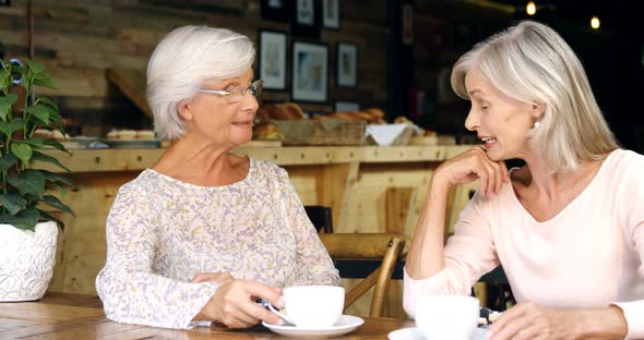 Senior women talking to each other in cafe 4k