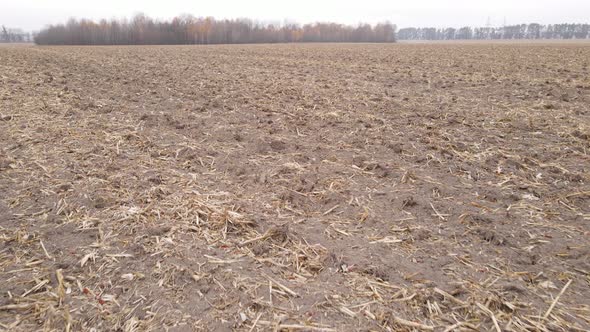 Empty Plowed Field in Autumn Aerial View