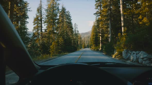 Beautiful View From Car Steering Wheel, Driving Along Mountain Forest Road in Yosemite National Park