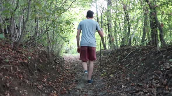 A man walks on a footpath in forest, daytime,  summer season. Young man filmed from behind while Wal