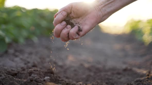 Senior Woman Hand Checking Soil Quality