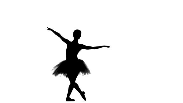 Portrait of the Ballerina in Ballet Pose on White, Silhouette