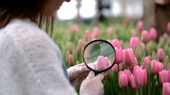 A Woman in Gloves and a Hat at Work in a Greenhouse with a Magnifying Glass Caring for Flowers