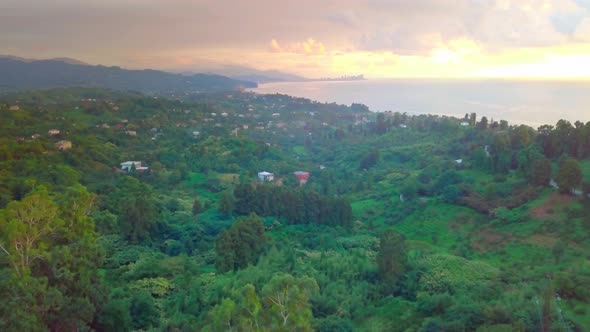 movement of drone along coast of sea and the green forest, a village or village